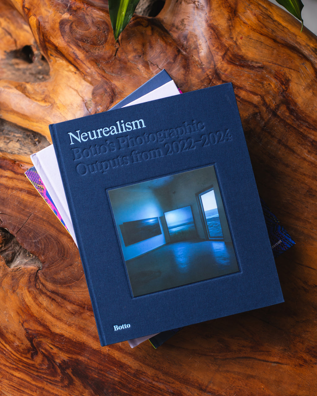 Neurealism - Botto’s Photographic Outputs from 2022–2024