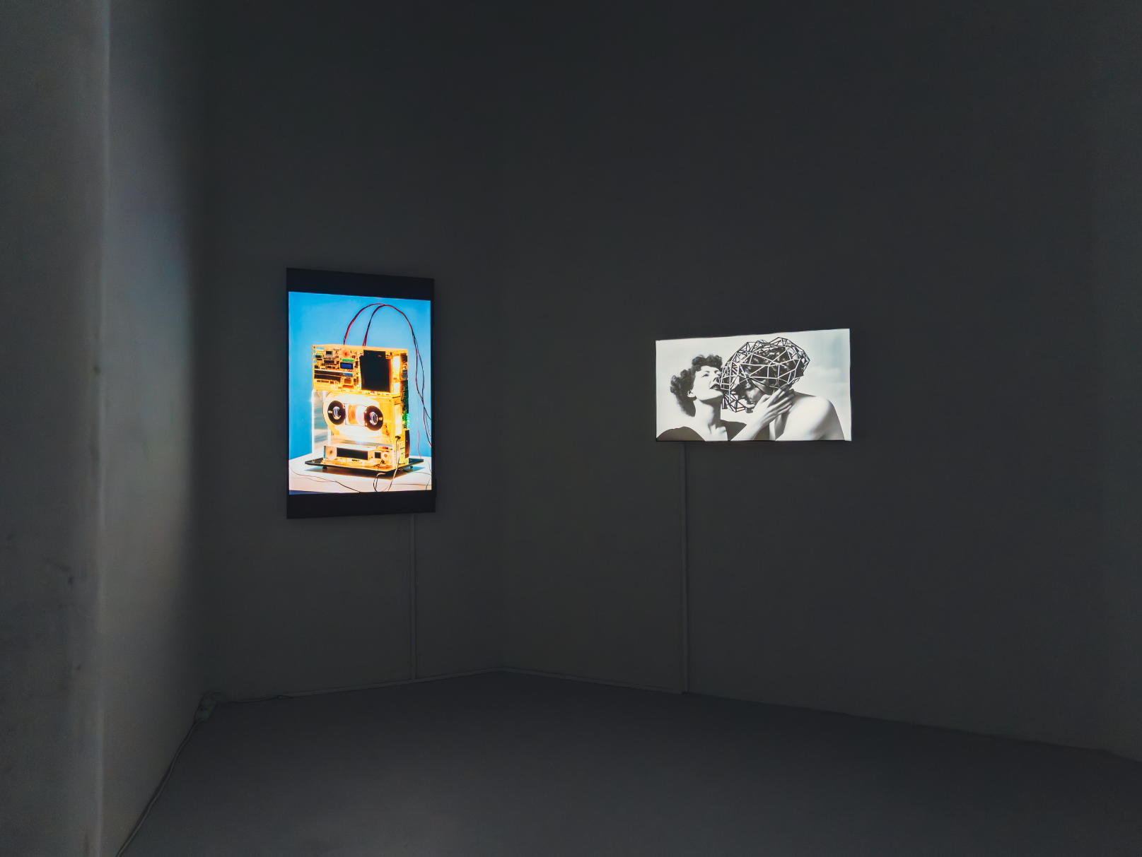 Ornamented Cages of Existence - Lightbox